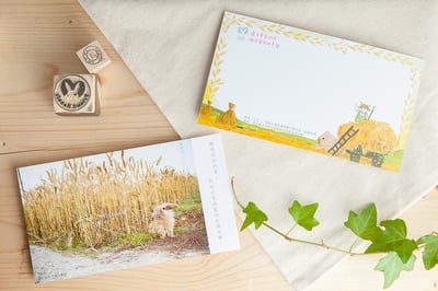 兔子攝影插畫明信片 - 《豐收》1