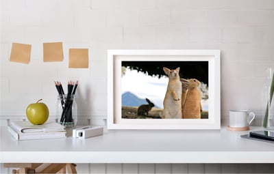 攝影藝術微噴原作 - 《眾生》3