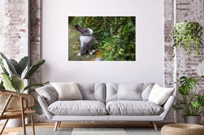 攝影藝術微噴原作 - 《藍色眼眸》8