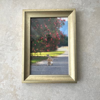 攝影藝術微噴原作 - 《目光之處》 7/50｜金色仿古框1