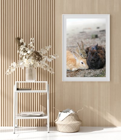 攝影藝術微噴原作 - 《全家福》7