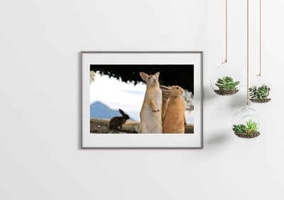 攝影藝術微噴原作 - 《眾生》2