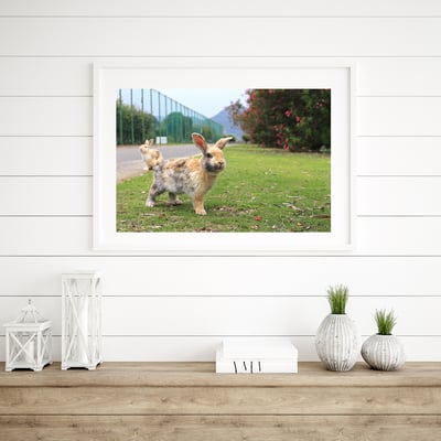 攝影藝術微噴原作 - 《天光》5