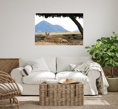 攝影藝術微噴原作 - 《悠然見南山》6