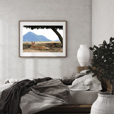 攝影藝術微噴原作 - 《悠然見南山》7