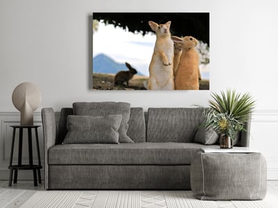 攝影藝術微噴原作 - 《眾生》8