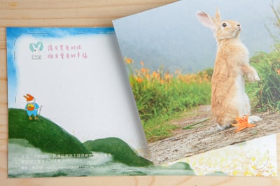 兔子攝影插畫明信片 - 《望幽》4