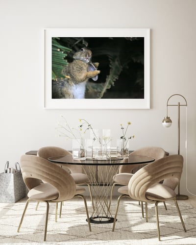 攝影藝術微噴原作 - 《嫵媚》3