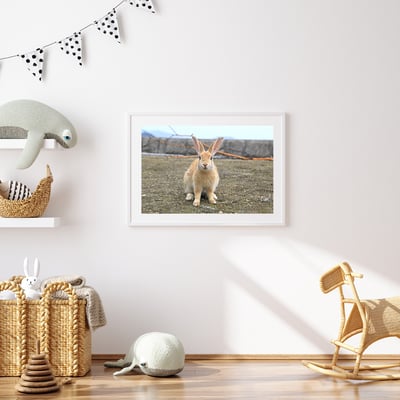 攝影藝術微噴原作 - 《海邊的兔子》2