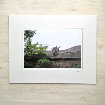 攝影藝術微噴福利品 - 111