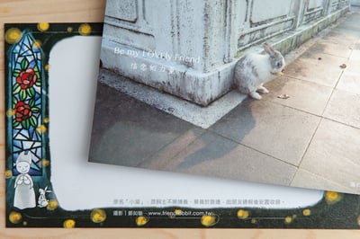 兔子攝影插畫明信片 - 信念的力量4