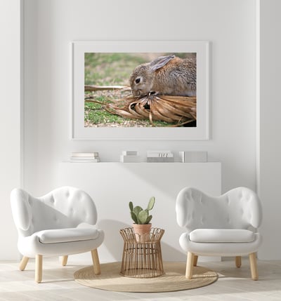 攝影藝術微噴原作 - 《得來不易的滋味》2