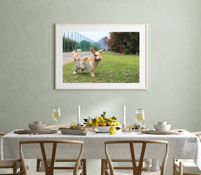 攝影藝術微噴原作 - 《天光》6