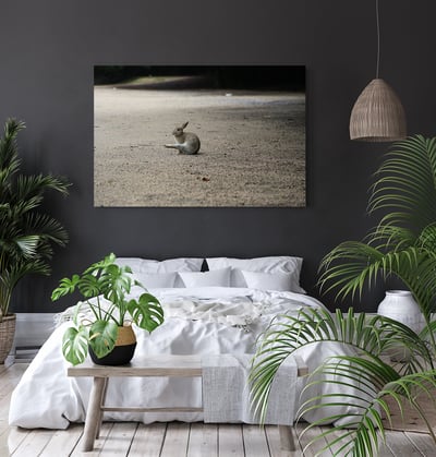 攝影藝術微噴原作 - 《獨舞》7