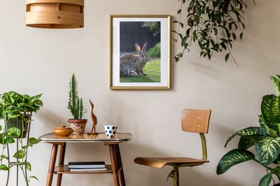 攝影藝術微噴原作 - 《沐浴晨光》5