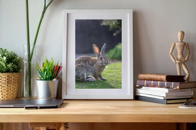 攝影藝術微噴原作 - 《沐浴晨光》2