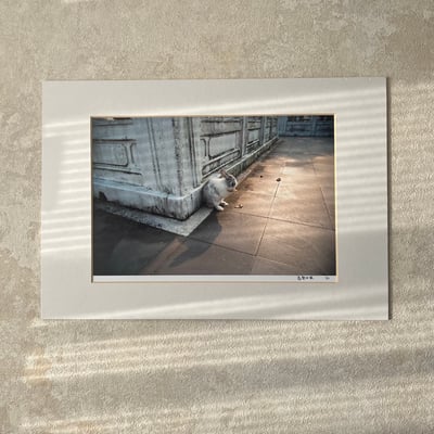 攝影藝術微噴原作 - 《信念的力量》1/501