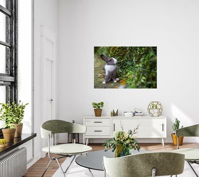 攝影藝術微噴原作 - 《藍色眼眸》7