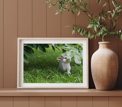 攝影藝術微噴原作 - 《夏日秘藏紅寶石》8