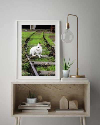 攝影藝術微噴原作 - 《決定》4