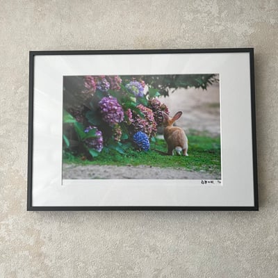 攝影藝術微噴原作 - 《試探》 3/50｜深灰鋁框1