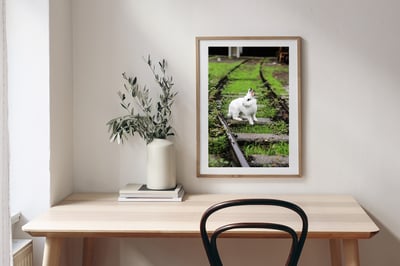 攝影藝術微噴原作 - 《決定》6