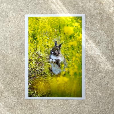 攝影藝術微噴原作 - 《希望》 3/501