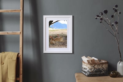 攝影藝術微噴原作 - 《有你真好》4