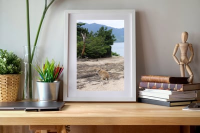 攝影藝術微噴原作 - 《隱身》4