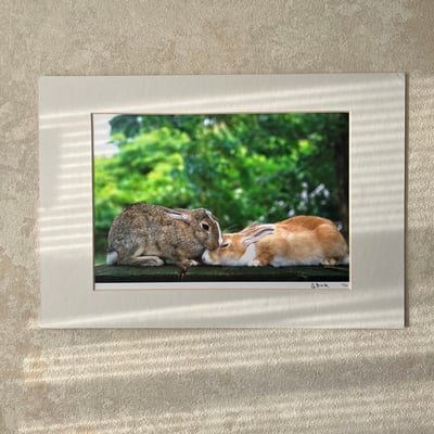 攝影藝術微噴原作 - 《親親》2/501