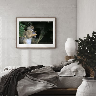 攝影藝術微噴原作 - 《嫵媚》6