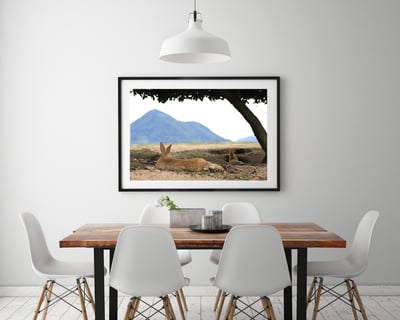 攝影藝術微噴原作 - 《悠然見南山》4