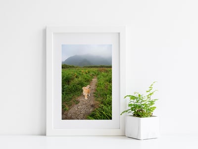 攝影藝術微噴原作 - 《未知局面》1