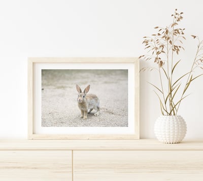 攝影藝術微噴原作 - 《萌》3