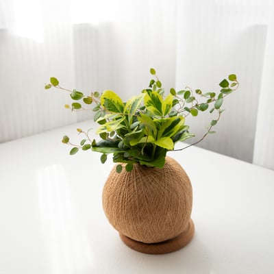 征木 手作組合植栽苔球4