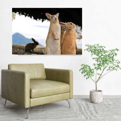 攝影藝術微噴原作 - 《眾生》4