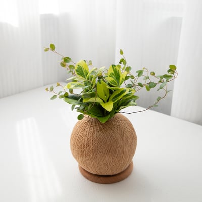 征木 手作組合植栽苔球5