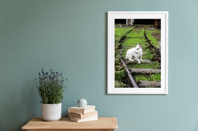 攝影藝術微噴原作 - 《決定》8