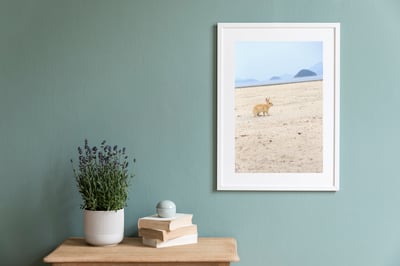 攝影藝術微噴原作 - 《沙灘上的兔子》8