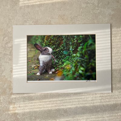 攝影藝術微噴原作 - 《藍色眼眸》1/501