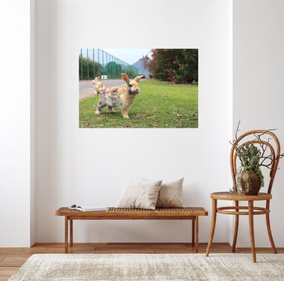 攝影藝術微噴原作 - 《天光》2