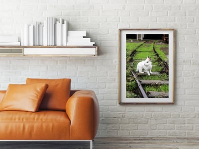 攝影藝術微噴原作 - 《決定》7