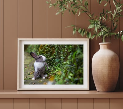 攝影藝術微噴原作 - 《藍色眼眸》3