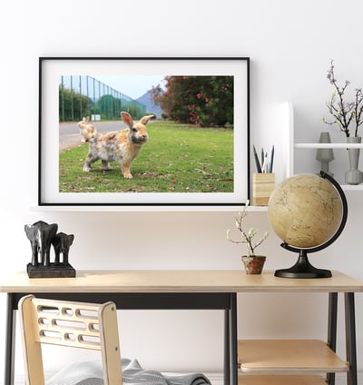 攝影藝術微噴原作 - 《天光》4