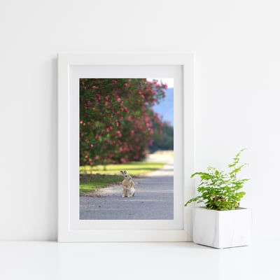 攝影藝術微噴原作 - 《目光之處》1