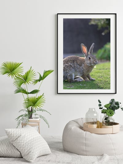 攝影藝術微噴原作 - 《沐浴晨光》8