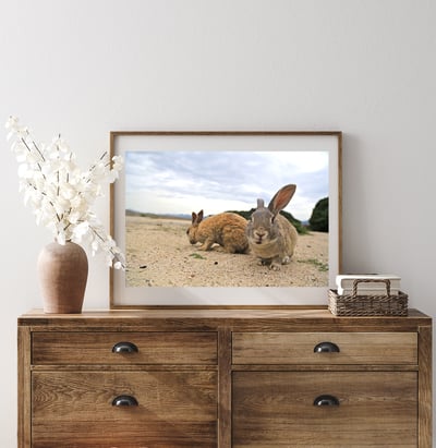 攝影藝術微噴原作 - 《化身為兔子後的對話》7