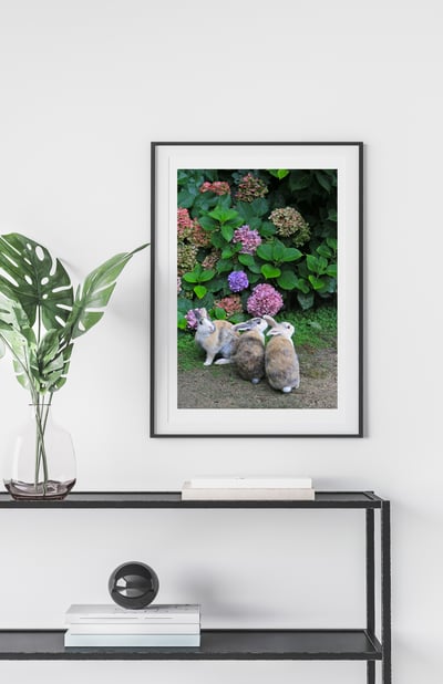 攝影藝術微噴原作 - 《觀望》7