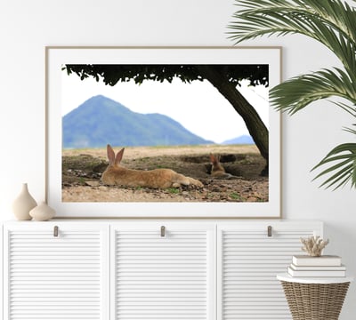 攝影藝術微噴原作 - 《悠然見南山》3