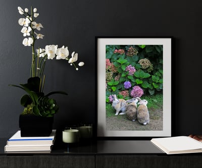 攝影藝術微噴原作 - 《觀望》4